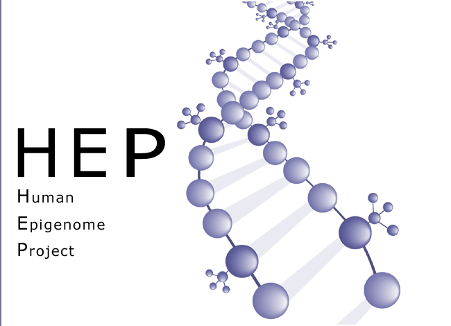 Human Epigenome Consortium